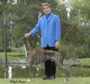 Click to see more details for this dog