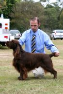 Click to see more details for this dog