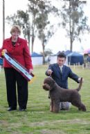 Click to see more details for this dog