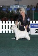 Click to see more details for this dog