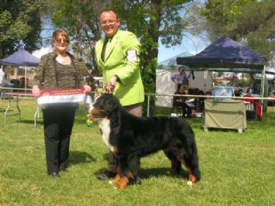 Breed Feature Photo - Unauthorised use prohibited!