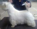 Click to view more details