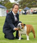 Click to see more details for this dog