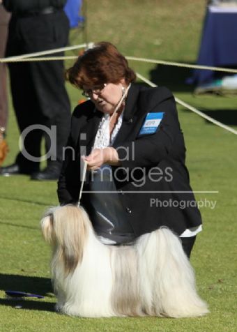 Breed Feature Photo - Unauthorised use prohibited!