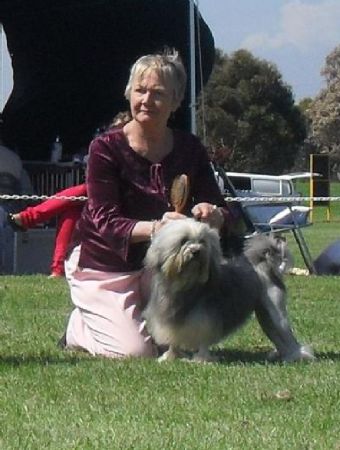 Breed Feature Photo - Unauthorised use prohibited!