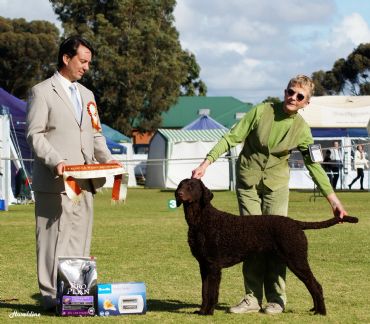 Breed Feature Photo - Unauthorised use prohibited!
