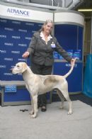 Click to see more details for this dog
