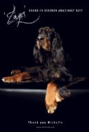 Click for more details of this dog