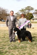 Click to see more details for this dog