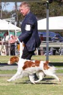 Click to see more details for this dog
