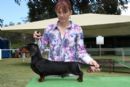 Click to see more details for this dog