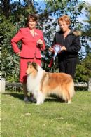 Click to see more details for this dog