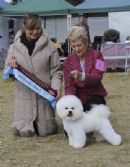 Click to see more details for this dog