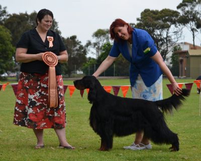 Breed Feature Photo - Unauthorised use prohibited!