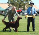 Click to see more details for this dog