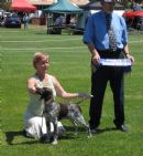Click to see more details for this dog
