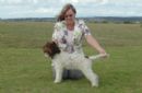 Click to see more details for this dog