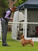 Click to see more details for this dog