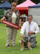 Click to see more details for this dog