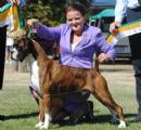 Click for more details of this dog