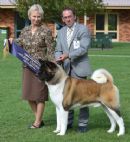 Click for more details of this dog