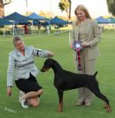 Click for more details of this dog