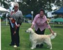 Click to see more details for this dog