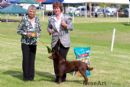 Click to see more details for this dog