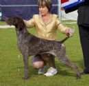 Click to see more details for this dog