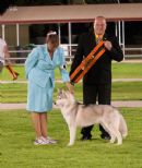 Click to see more details for this dog