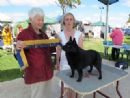 Click to see more details for this dog