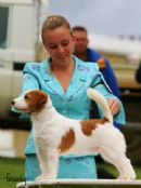 Click to see more details for this dog