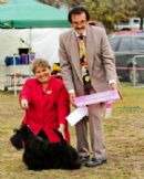 Click to see more details for this dog