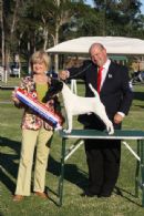 Click to see more details for this dog