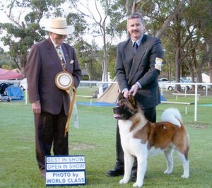 Breed Feature Photo - Unauthorised use prohibited!