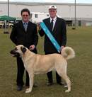 Click to view more details