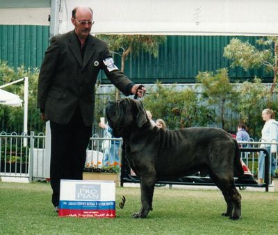 Breed Feature Photo - Unauthorised use prohibited!