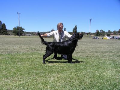 Breed Feature Photo - Unauthorised use prohibited!
