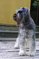 View Profile