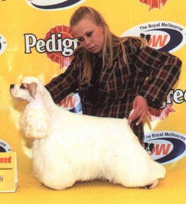 Breed Feature Photo - Unauthorised use prohibited!