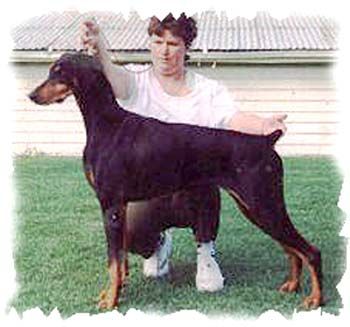 Breed Feature Photo - Unauthorised use prohibited!