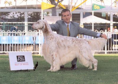 Breed Feature Photo - Unauthorised use prohibited!