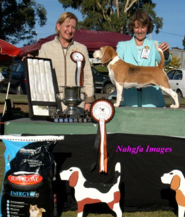 Breed Feature Photo - Unauthorised use prohibited!