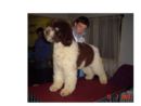 Click to view more details