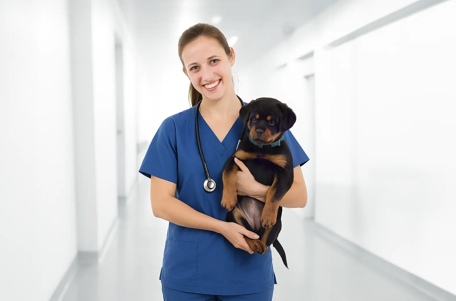 Claim Your Free Puppy Vet Check