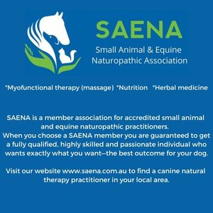 Small Animal & Equine Naturopathic Association